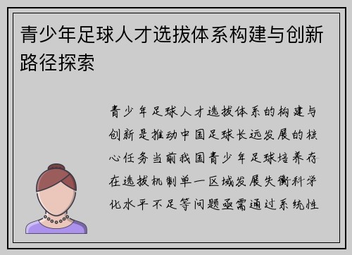 青少年足球人才选拔体系构建与创新路径探索