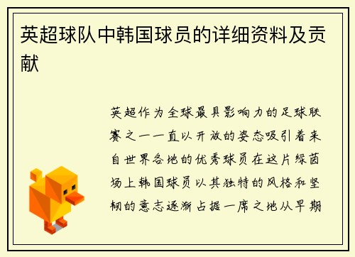 英超球队中韩国球员的详细资料及贡献